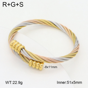 2BA202432vbpb-349  Stainless Steel Bangle