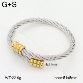 2BA202433vbnb-349  Stainless Steel Bangle