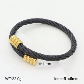 2BA202435bbov-349  Stainless Steel Bangle