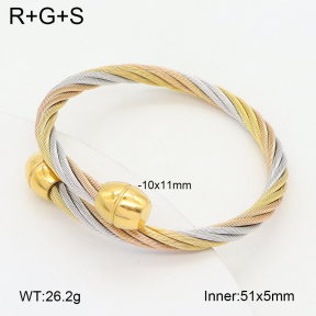 2BA202438vbpb-349  Stainless Steel Bangle