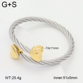 2BA202439bbov-349  Stainless Steel Bangle