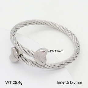 2BA202440vbnb-349  Stainless Steel Bangle