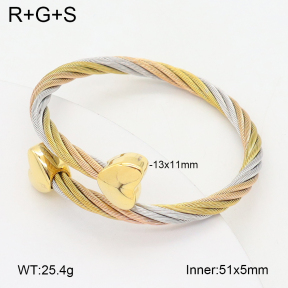 2BA202441bhva-349  Stainless Steel Bangle