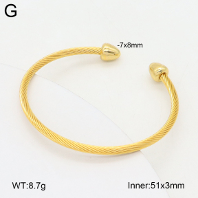 2BA202442vbnb-349  Stainless Steel Bangle