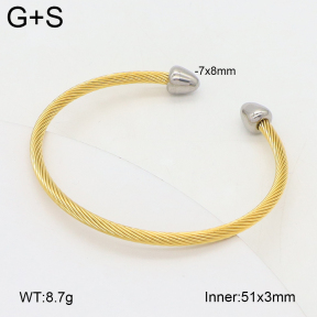 2BA202443bbml-349  Stainless Steel Bangle