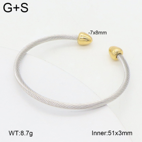 2BA202446vbll-349  Stainless Steel Bangle