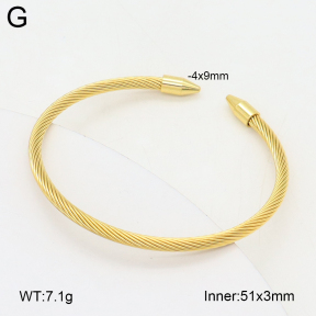 2BA202448vbnb-349  Stainless Steel Bangle