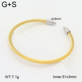 2BA202449bbml-349  Stainless Steel Bangle