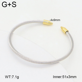 2BA202450vbll-349  Stainless Steel Bangle