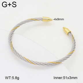 2BA202454vbnb-349  Stainless Steel Bangle