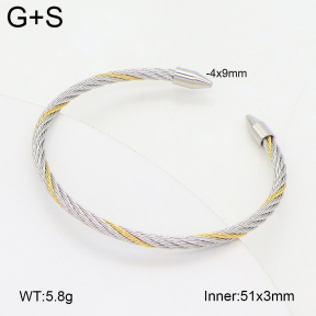 2BA202455bbml-349  Stainless Steel Bangle