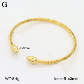 2BA202456vbnb-349  Stainless Steel Bangle