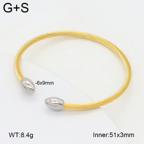 2BA202457bbml-349  Stainless Steel Bangle