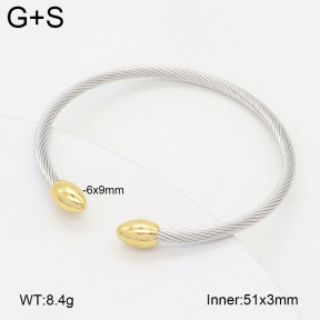 2BA202458vbll-349  Stainless Steel Bangle