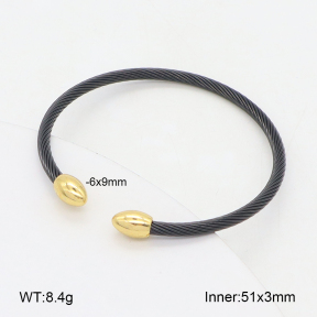 2BA202460bbml-349  Stainless Steel Bangle