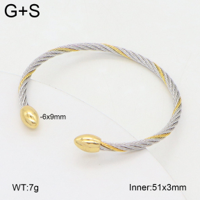 2BA202462vbnb-349  Stainless Steel Bangle