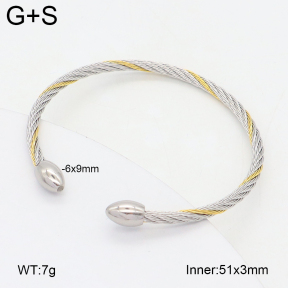 2BA202463bbml-349  Stainless Steel Bangle