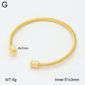 2BA202464vbnb-349  Stainless Steel Bangle