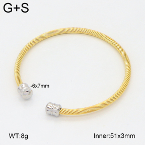 2BA202465bbml-349  Stainless Steel Bangle