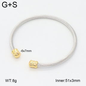 2BA202466vbll-349  Stainless Steel Bangle