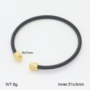 2BA202468bbml-349  Stainless Steel Bangle