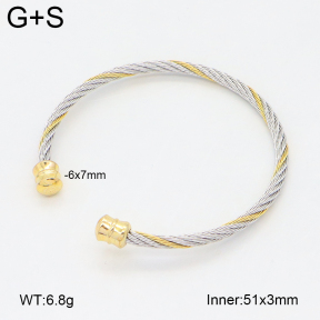 2BA202470vbnb-349  Stainless Steel Bangle