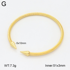 2BA202471vbnb-349  Stainless Steel Bangle