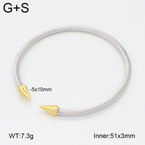 2BA202472vbll-349  Stainless Steel Bangle