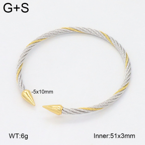 2BA202476vbnb-349  Stainless Steel Bangle