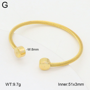 2BA202477vbnl-349  Stainless Steel Bangle