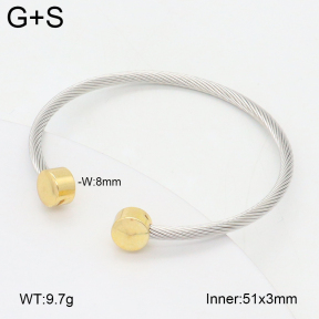 2BA202478vbmb-349  Stainless Steel Bangle