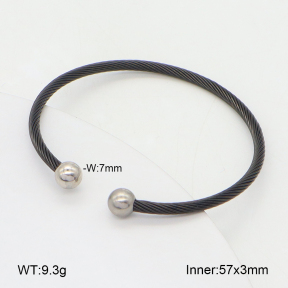 2BA202482vbmb-349  Stainless Steel Bangle