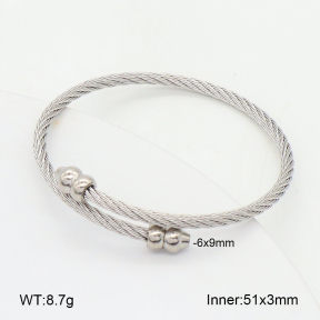 2BA202483ablb-349  Stainless Steel Bangle