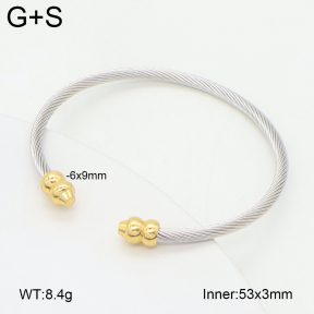 2BA202485vbll-349  Stainless Steel Bangle