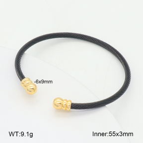 2BA202487bbml-349  Stainless Steel Bangle