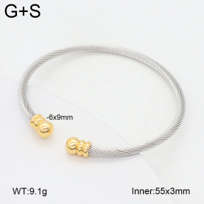 2BA202488vbll-349  Stainless Steel Bangle