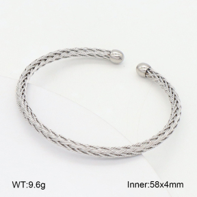 2BA202494bbov-349  Stainless Steel Bangle