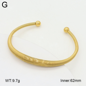 2BA202499bhva-349  Stainless Steel Bangle