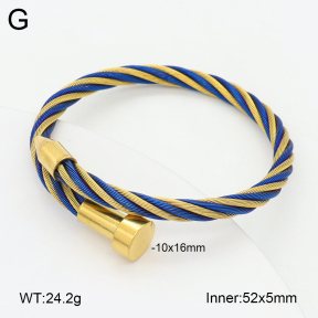 2BA202501vbpb-349  Stainless Steel Bangle