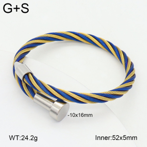 2BA202502bbov-349  Stainless Steel Bangle