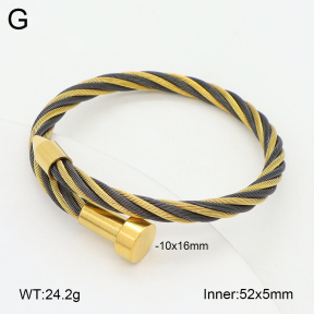 2BA202503vbpb-349  Stainless Steel Bangle