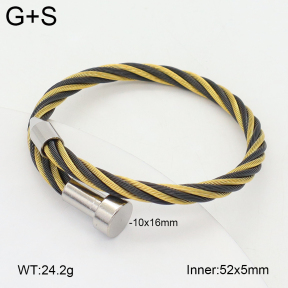 2BA202504bbov-349  Stainless Steel Bangle