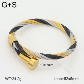 2BA202505vbpb-349  Stainless Steel Bangle