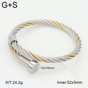 2BA202506vbnb-349  Stainless Steel Bangle