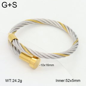 2BA202507vbnb-349  Stainless Steel Bangle