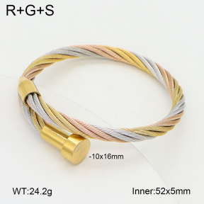 2BA202509vbpb-349  Stainless Steel Bangle