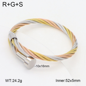 2BA202510bbov-349  Stainless Steel Bangle