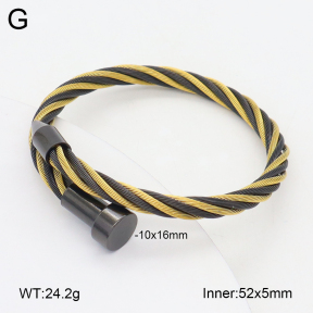 2BA202512vbpb-349  Stainless Steel Bangle