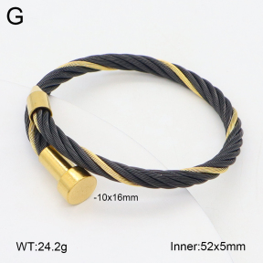 2BA202513bbov-349  Stainless Steel Bangle