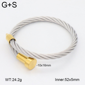 2BA202515vbnb-349  Stainless Steel Bangle